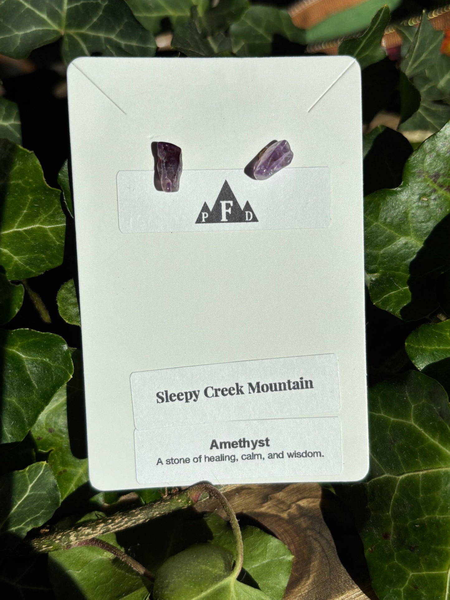Sleepy Creek Mountain Amethyst Earrings