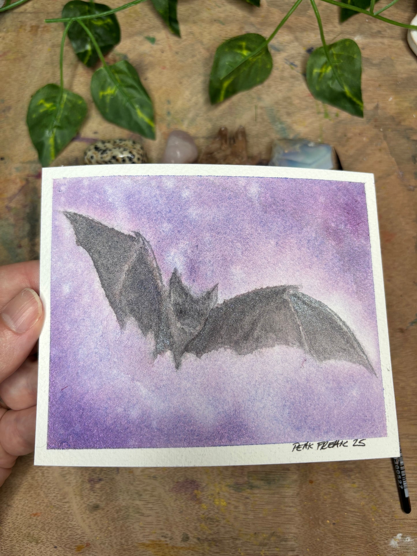 Take Flight - Support Second Chances Wildlife Center