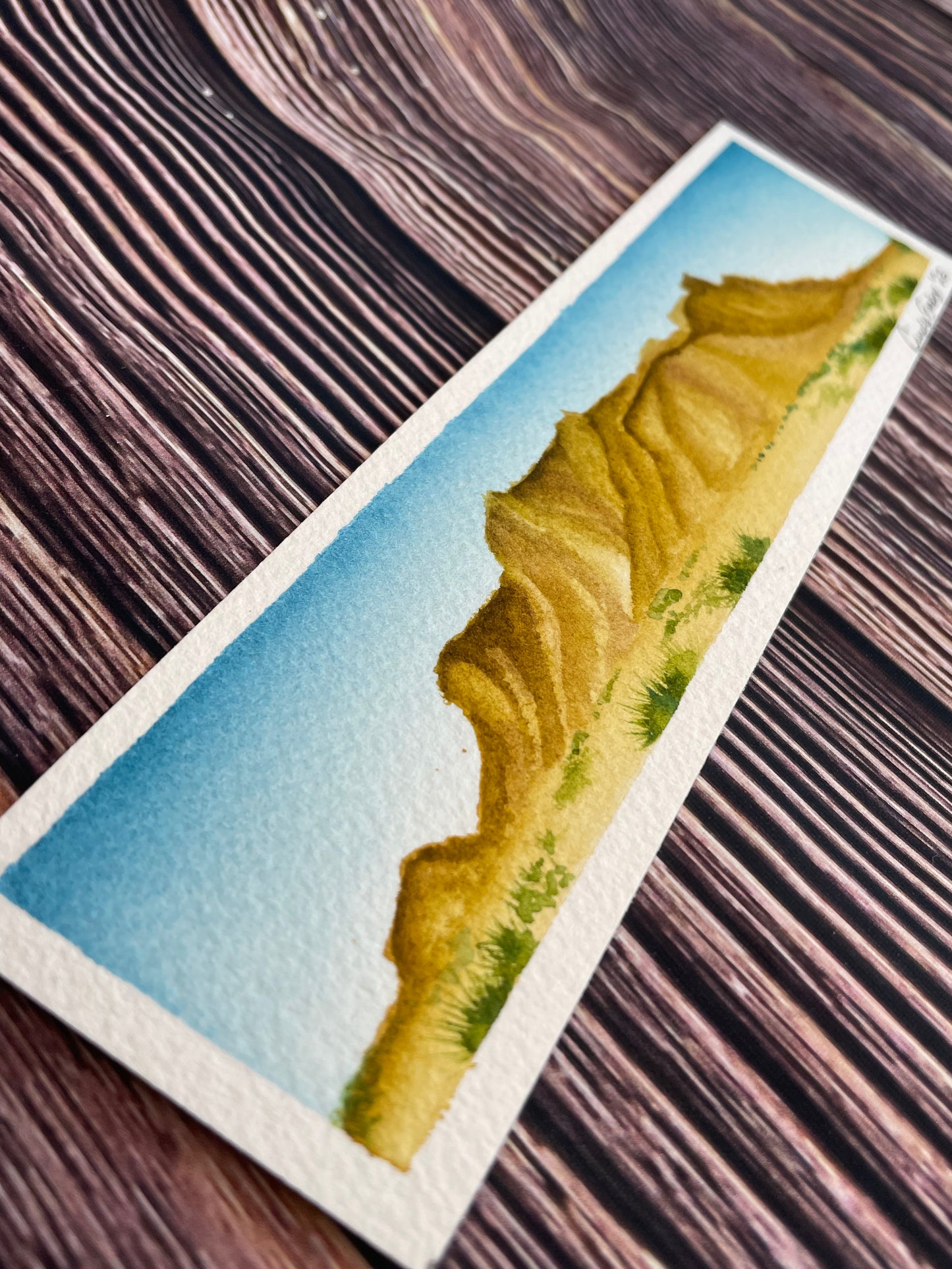 Original Desert Landscape