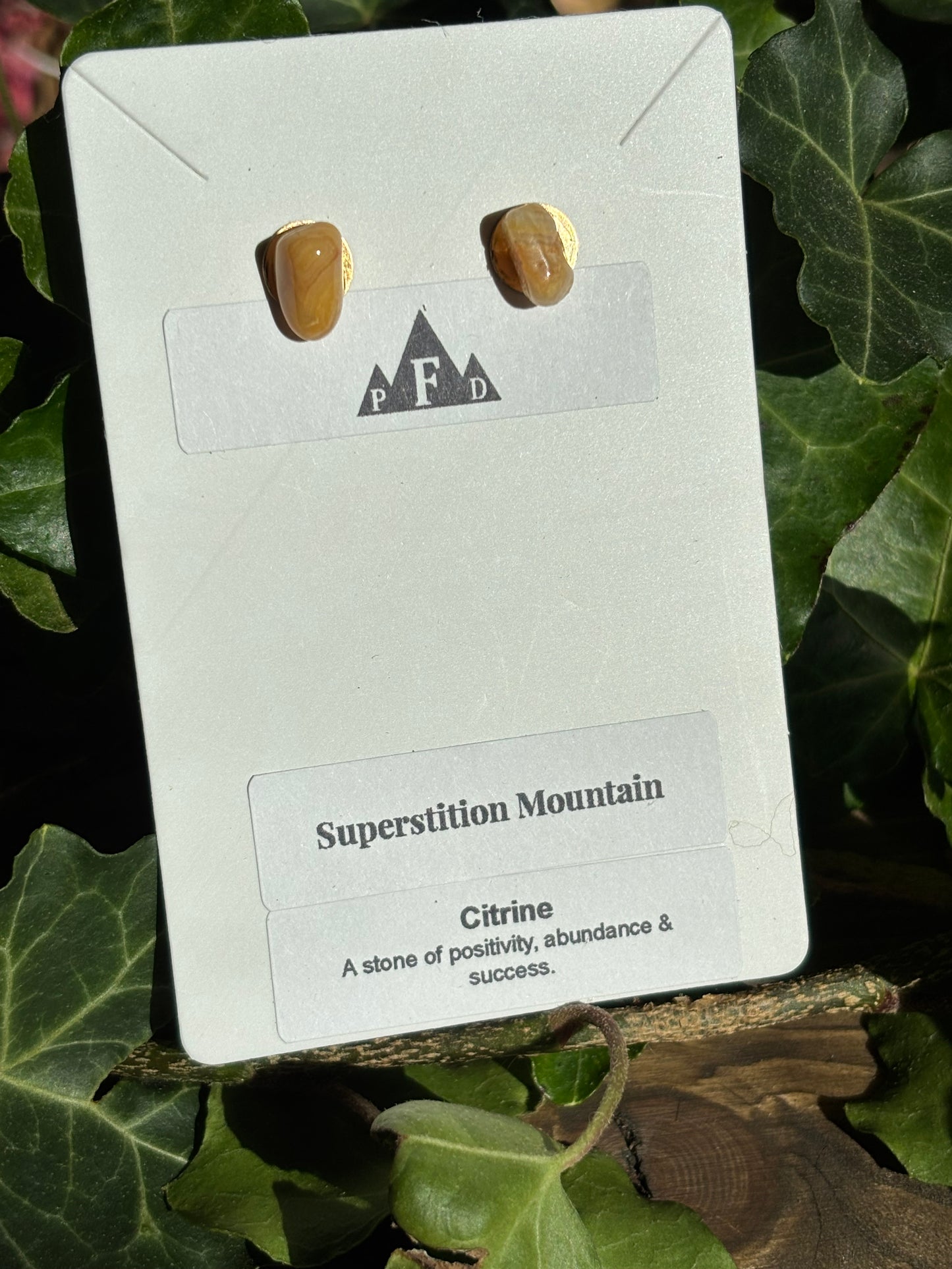 Superstition Mountain Yellow Jasper Earrings