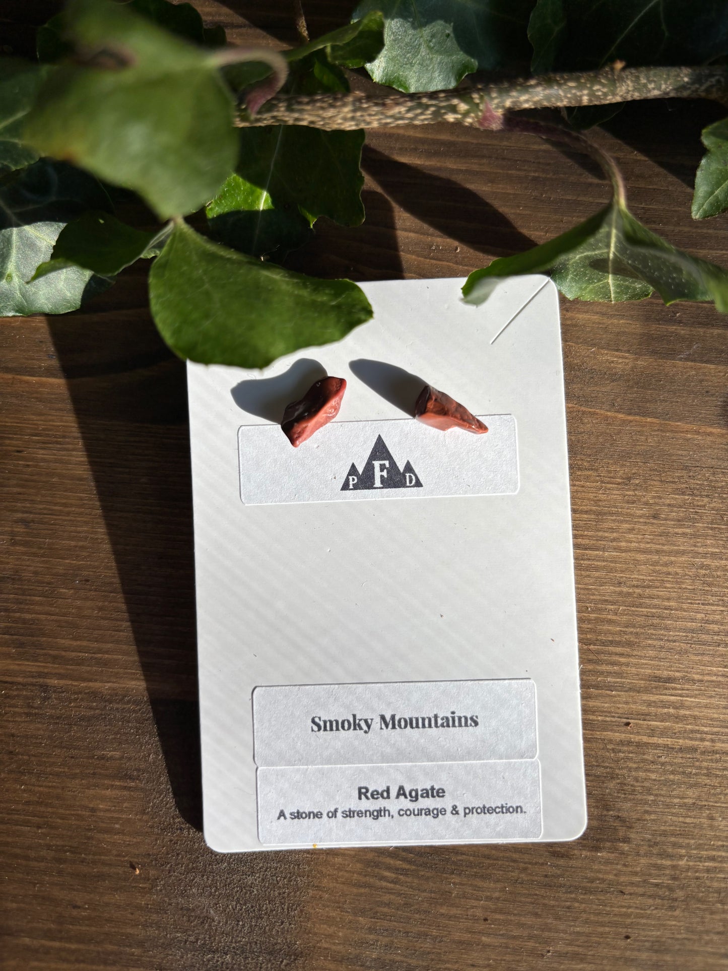 Smoky Mountains Reg Agate Earrings