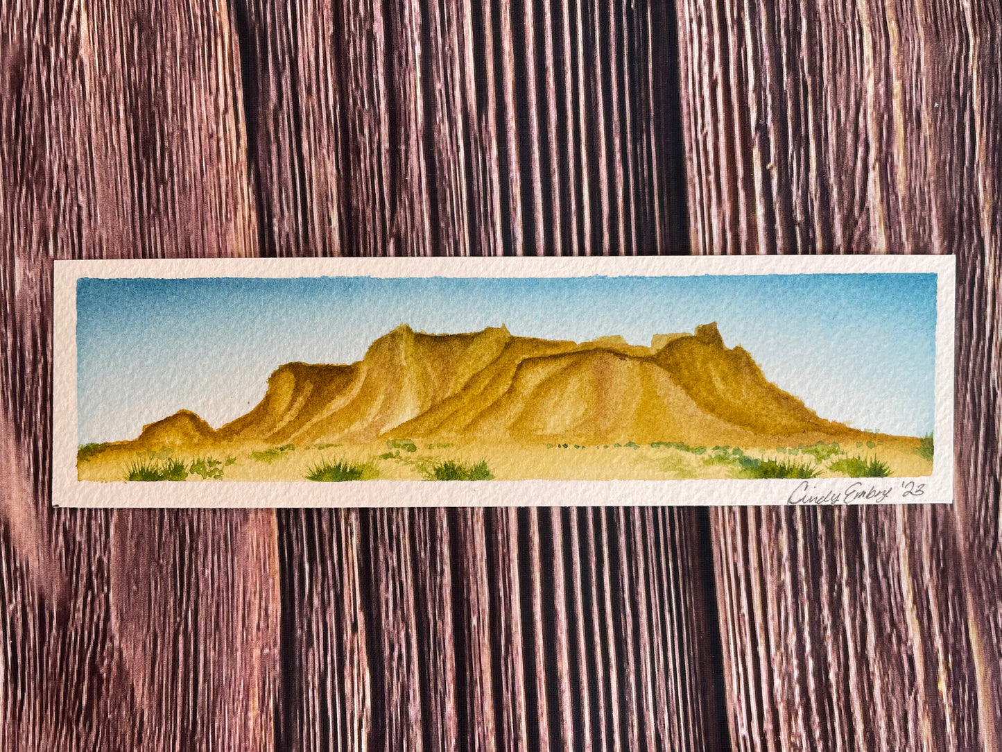 Original Desert Landscape