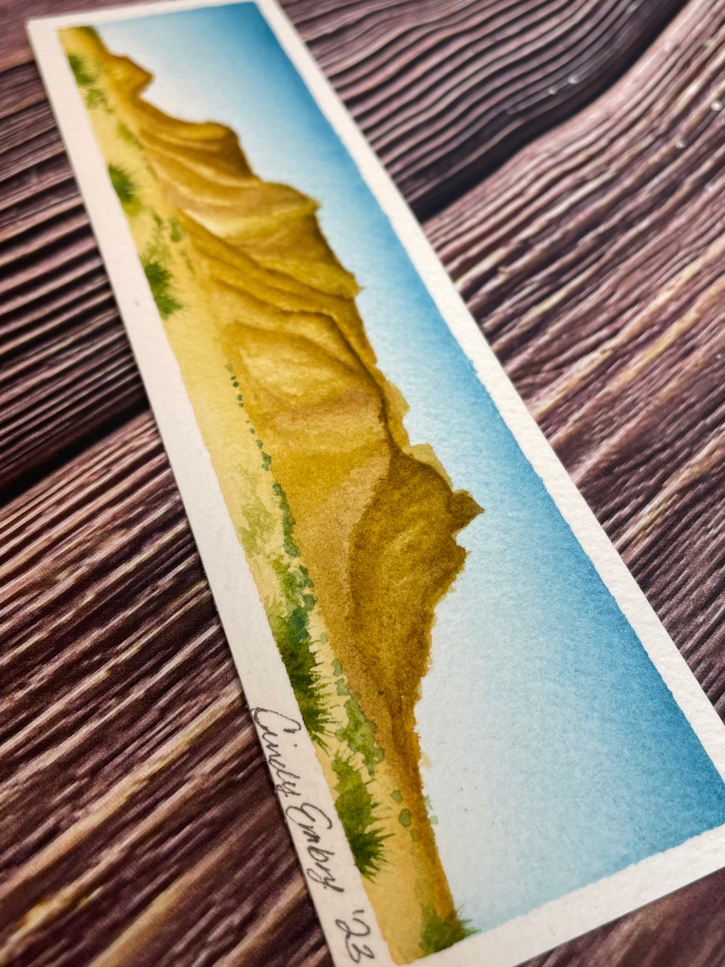 Original Desert Landscape